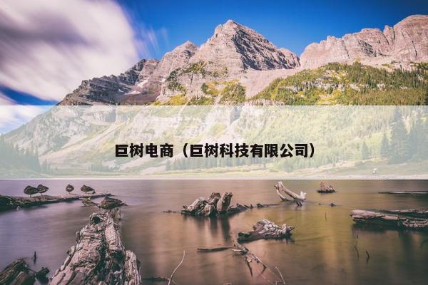 巨树电商（巨树科技有限公司）