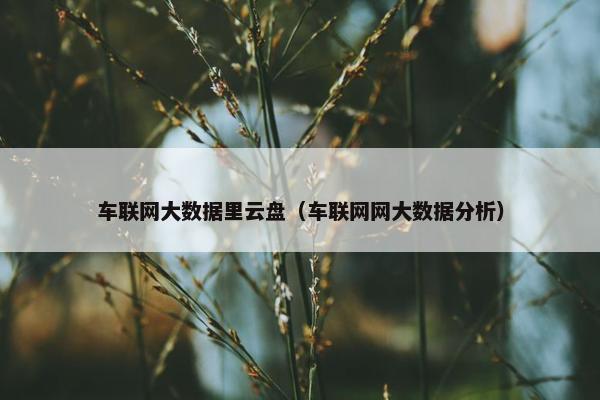 车联网大数据里云盘（车联网网大数据分析）