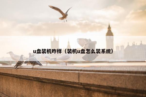 u盘装机咋样（装机u盘怎么装系统）