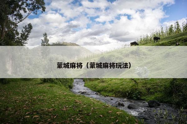 蒙城麻将（蒙城麻将玩法）