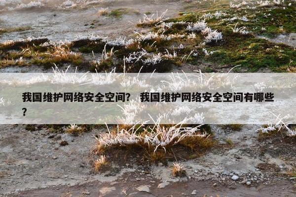 我国维护网络安全空间？ 我国维护网络安全空间有哪些？
