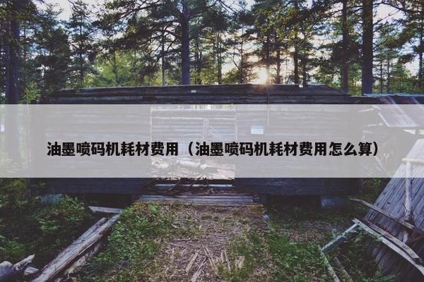 油墨喷码机耗材费用（油墨喷码机耗材费用怎么算）