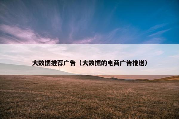 大数据推荐广告（大数据的电商广告推送）