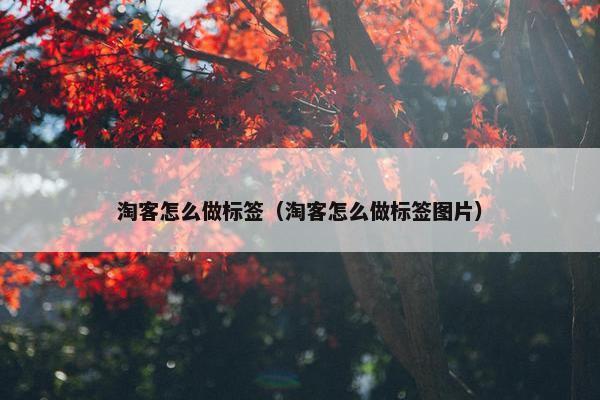 淘客怎么做标签（淘客怎么做标签图片）