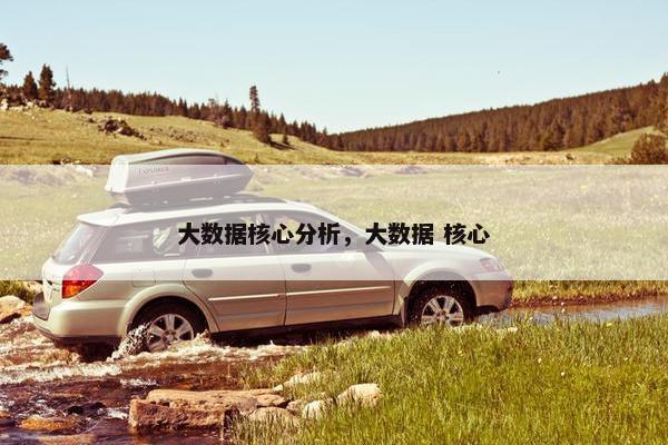 大数据核心分析，大数据 核心