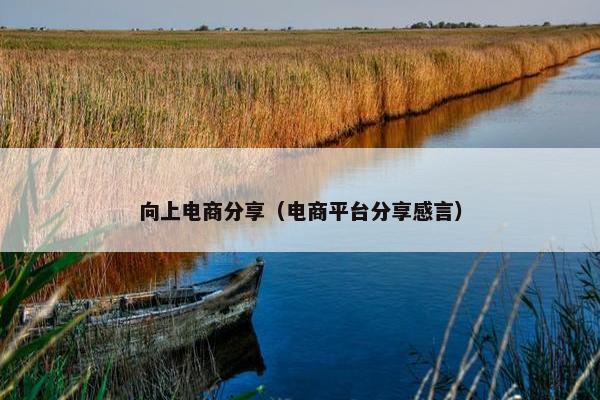 向上电商分享（电商平台分享感言）