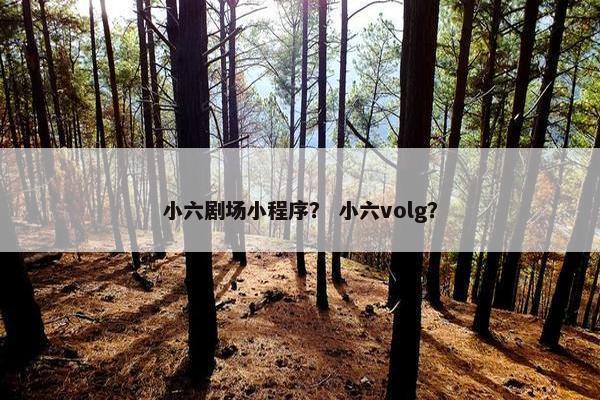小六剧场小程序？ 小六volg？
