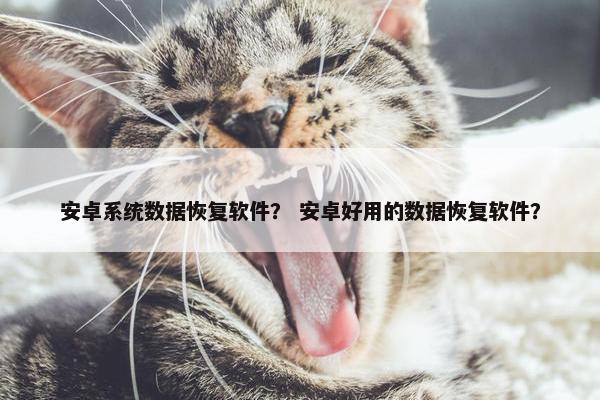 安卓系统数据恢复软件？ 安卓好用的数据恢复软件？