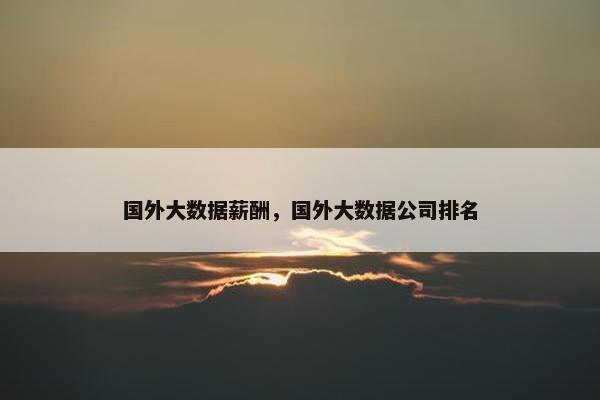 国外大数据薪酬，国外大数据公司排名