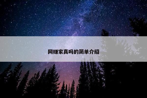 网赚家真吗的简单介绍