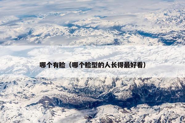 哪个有脸（哪个脸型的人长得最好看）
