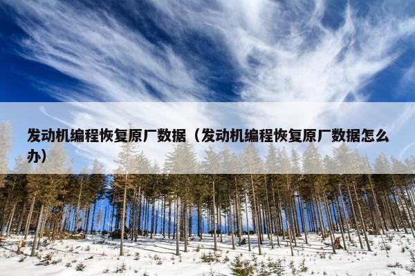 发动机编程恢复原厂数据（发动机编程恢复原厂数据怎么办）