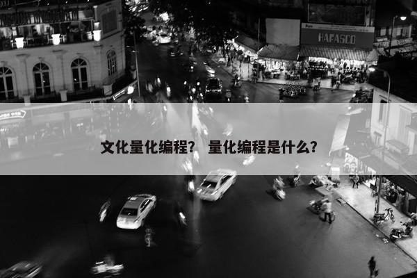 文化量化编程？ 量化编程是什么？