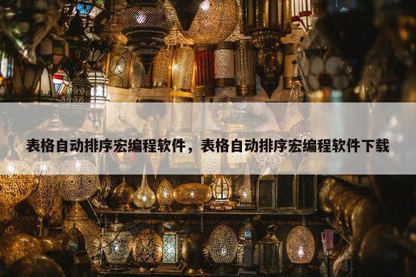 表格自动排序宏编程软件，表格自动排序宏编程软件下载