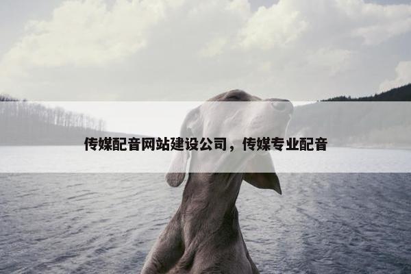 传媒配音网站建设公司，传媒专业配音