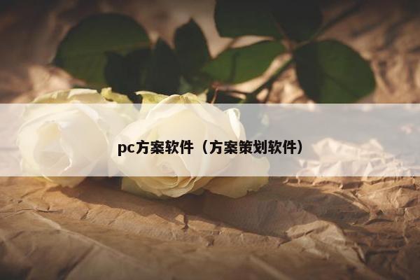 pc方案软件（方案策划软件）
