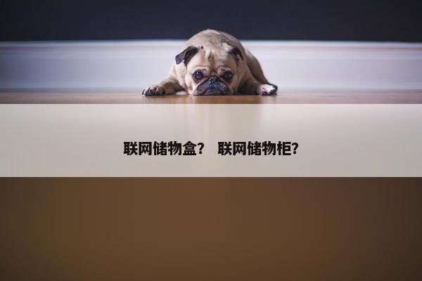 联网储物盒？ 联网储物柜？