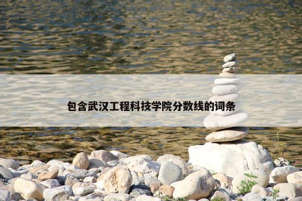 包含武汉工程科技学院分数线的词条