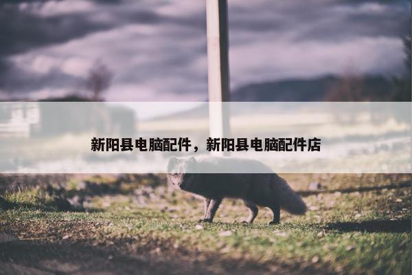 新阳县电脑配件，新阳县电脑配件店