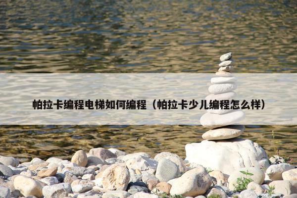 帕拉卡编程电梯如何编程（帕拉卡少儿编程怎么样）