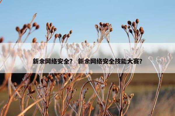 新余网络安全？ 新余网络安全技能大赛？