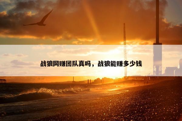 战狼网赚团队真吗,战狼能赚多少钱 战狼网赚团队真吗,战狼能赚多少钱