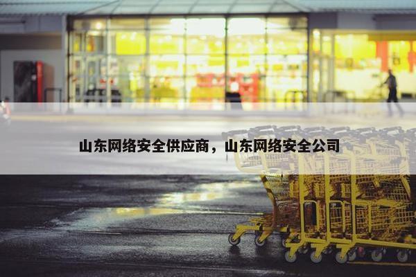 山东网络安全供应商，山东网络安全公司