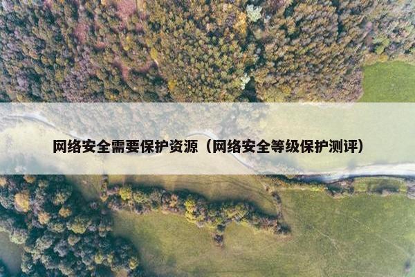 网络安全需要保护资源（网络安全等级保护测评）