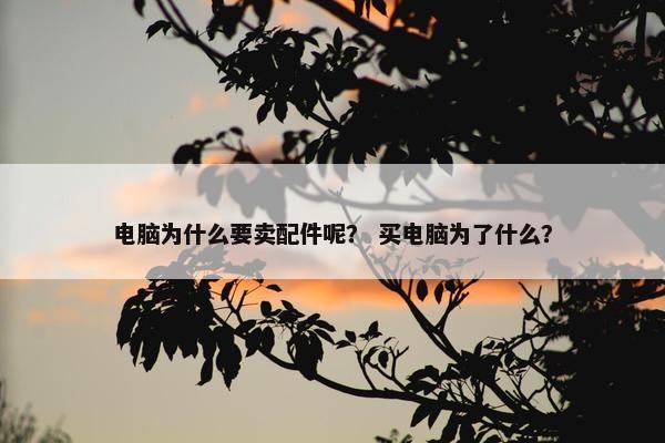 电脑为什么要卖配件呢？ 买电脑为了什么？