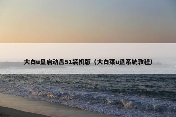 大白u盘启动盘51装机版（大白菜u盘系统教程）