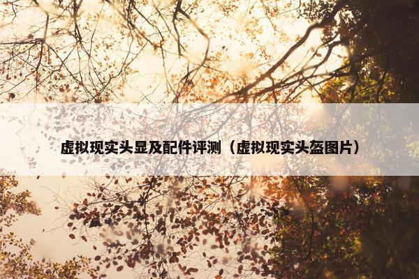 虚拟现实头显及配件评测（虚拟现实头盔图片）