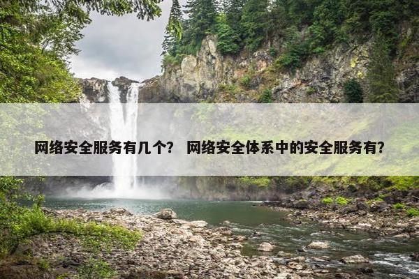 网络安全服务有几个？ 网络安全体系中的安全服务有？