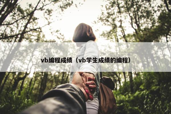 vb编程成绩（vb学生成绩的编程）