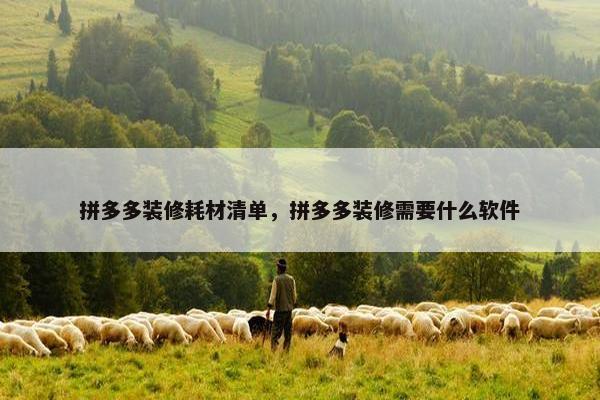 拼多多装修耗材清单，拼多多装修需要什么软件