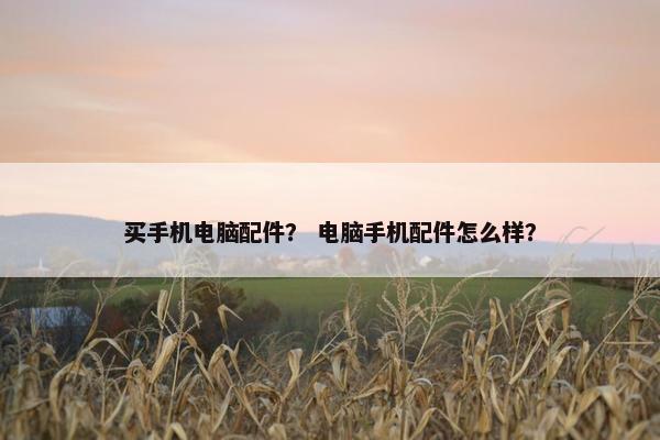 买手机电脑配件？ 电脑手机配件怎么样？