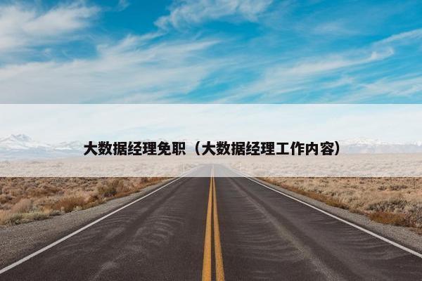 大数据经理免职（大数据经理工作内容）