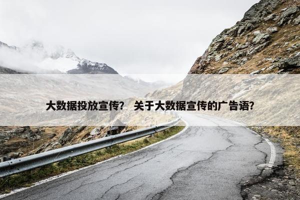 大数据投放宣传？ 关于大数据宣传的广告语？