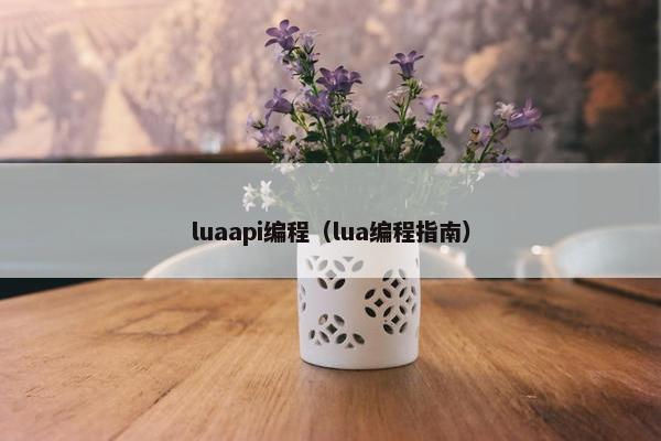 luaapi编程（lua编程指南）