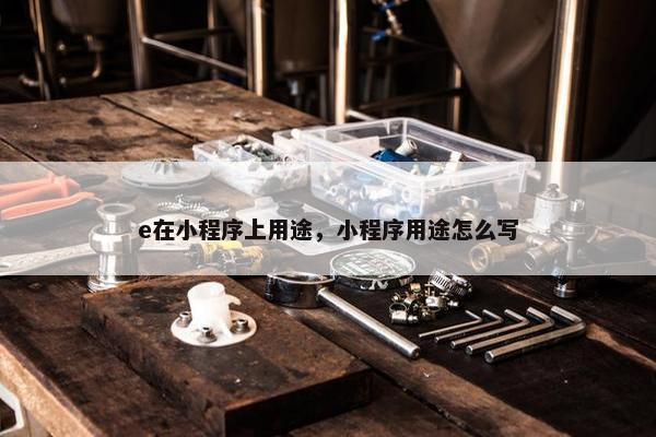 e在小程序上用途，小程序用途怎么写