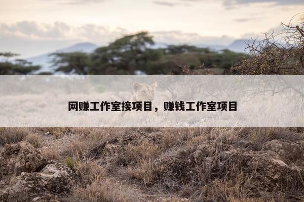 网赚工作室接项目，赚钱工作室项目