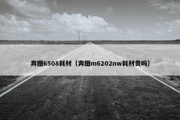 奔图6508耗材（奔图m6202nw耗材贵吗）