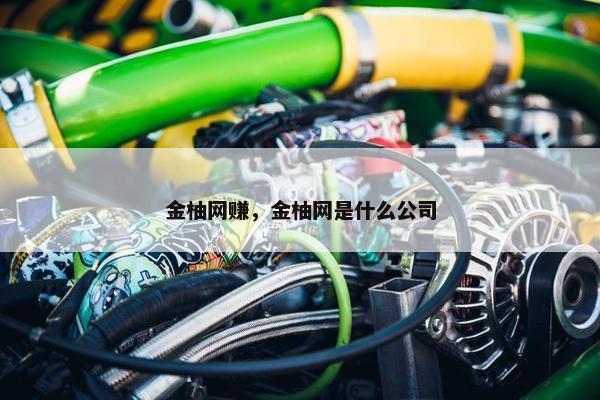 金柚网赚，金柚网是什么公司