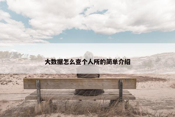 大数据怎么查个人所的简单介绍