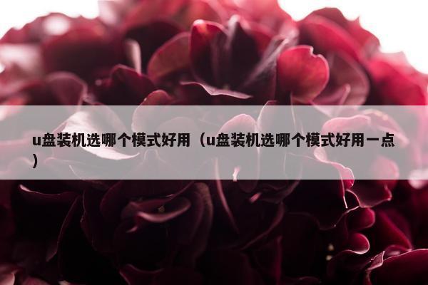 u盘装机选哪个模式好用（u盘装机选哪个模式好用一点）