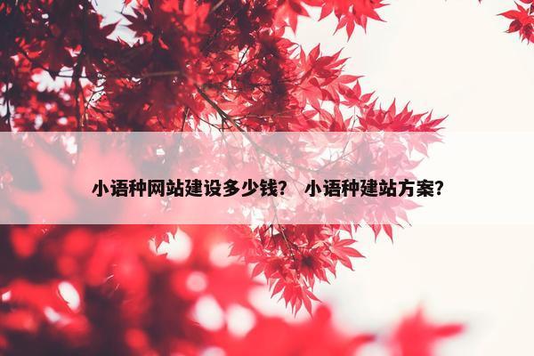 小语种网站建设多少钱？ 小语种建站方案？