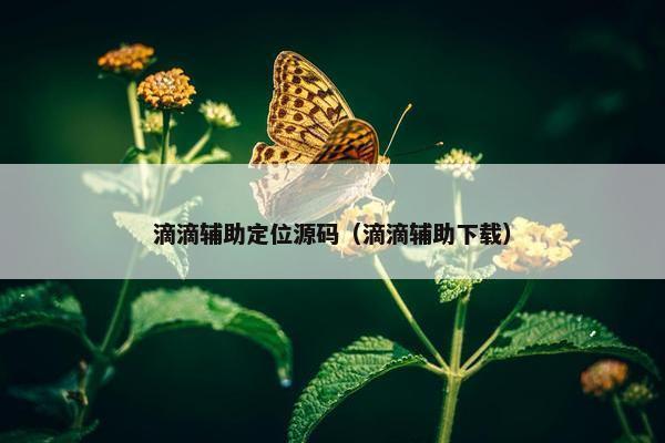 滴滴辅助定位源码（滴滴辅助下载）