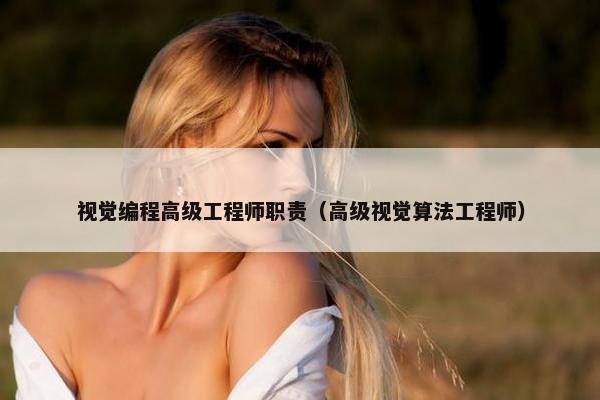 视觉编程高级工程师职责（高级视觉算法工程师）