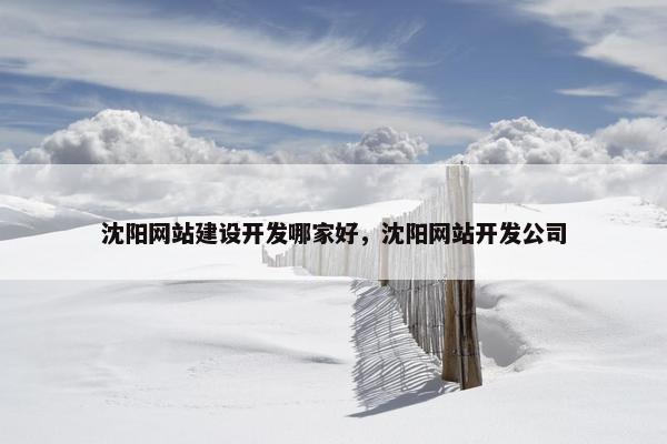 沈阳网站建设开发哪家好，沈阳网站开发公司