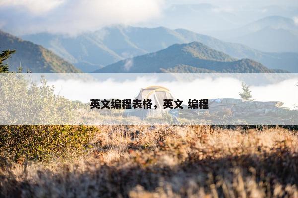 英文编程表格，英文 编程
