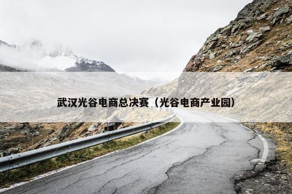 武汉光谷电商总决赛（光谷电商产业园）